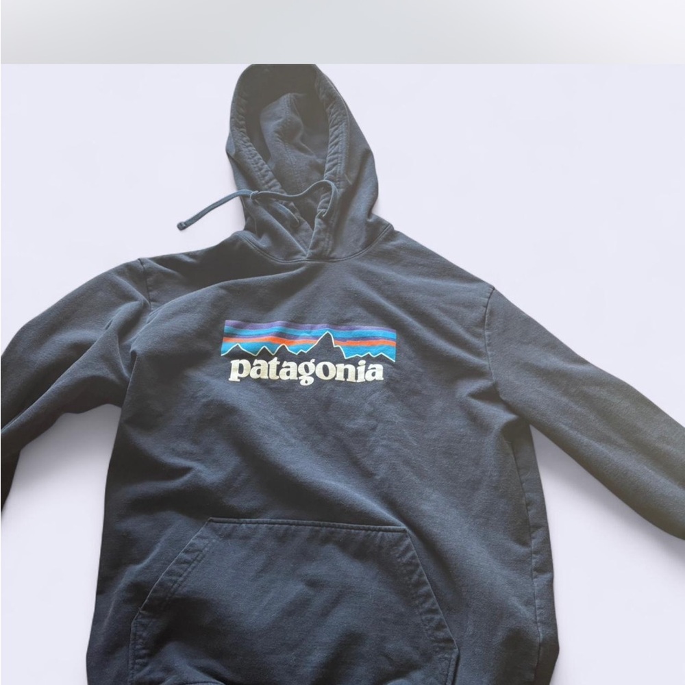 Patagonia Navy Hoodie with Multicolor Logo